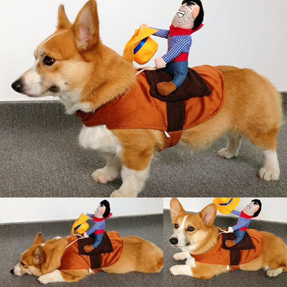 Multiple dogs wearing cowboy rider costume - bulldog, jack russell, corgi, poodle