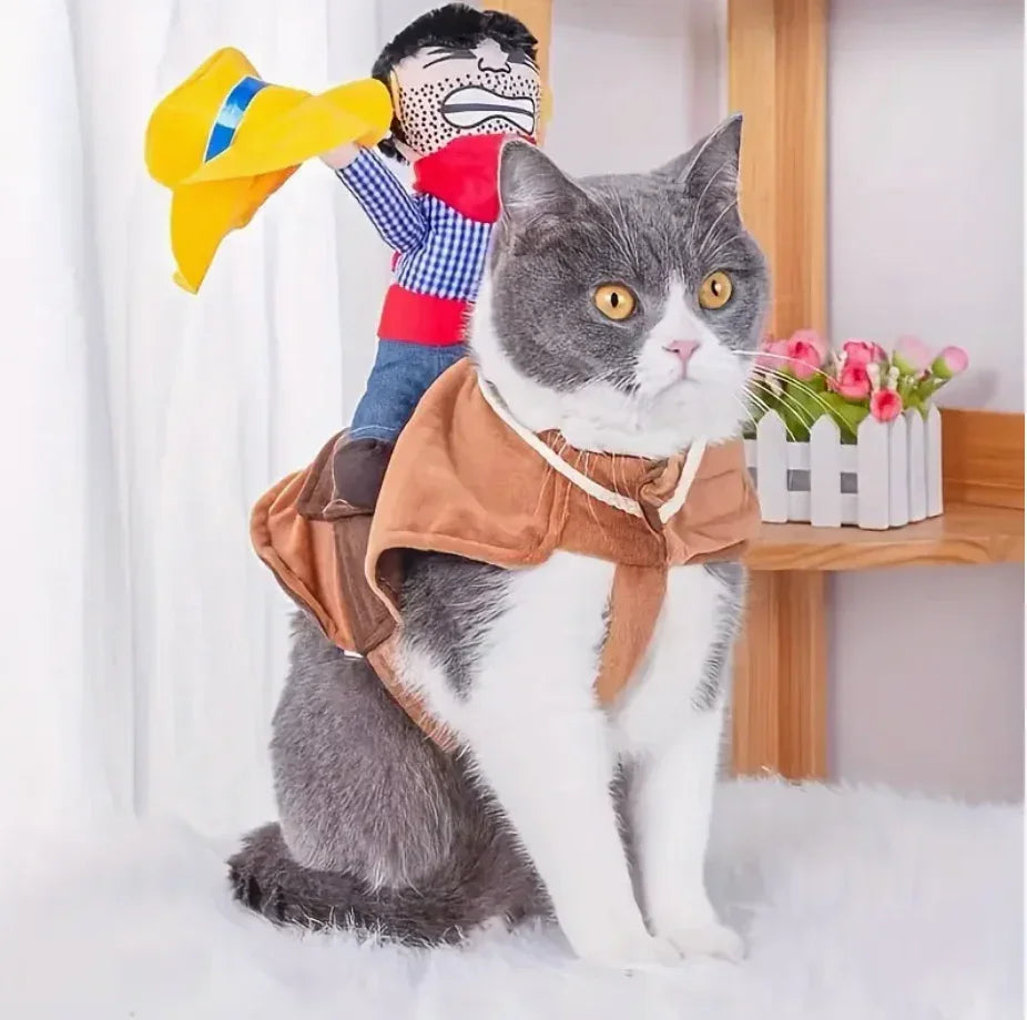 Cowboy rider costume product close-up with stuffed doll