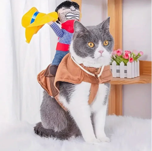 Cowboy rider costume product close-up with stuffed doll
