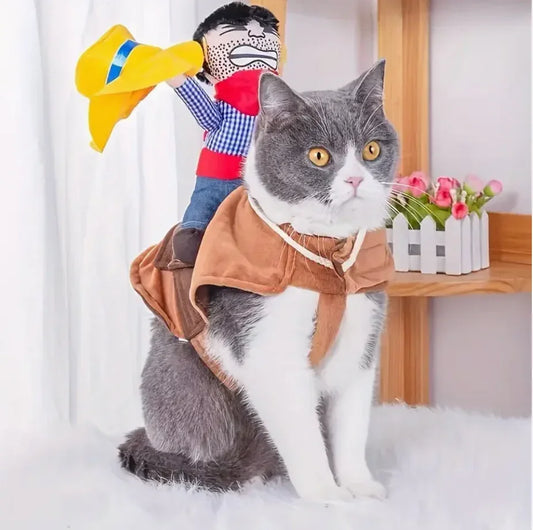 Cowboy rider costume product close-up with stuffed doll