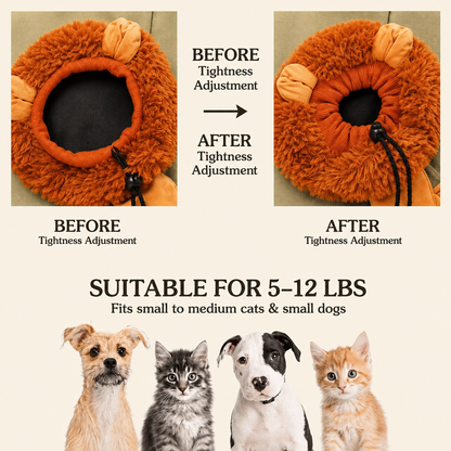 Lion Paw Pet Carrier Backpack