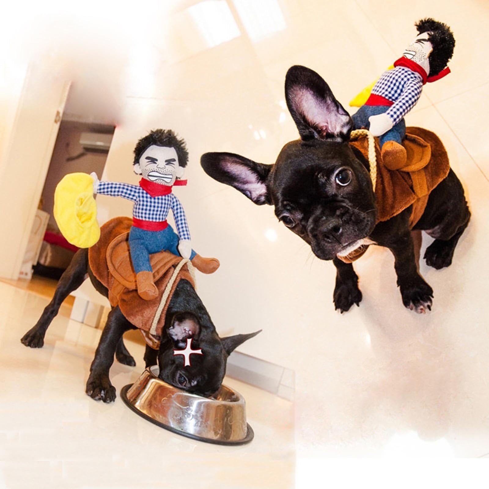 Cat wearing cowboy rider costume with stuffed cowboy doll on back