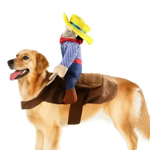 Cowboy rider costume lifestyle photo